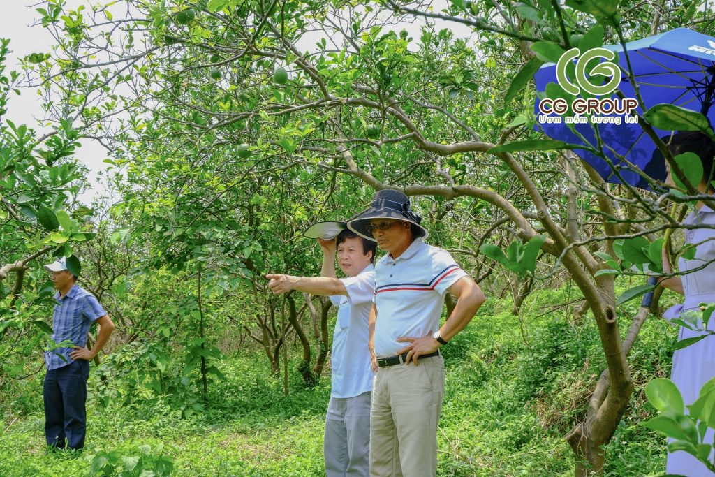 Phục Hồi Vườn Trồng