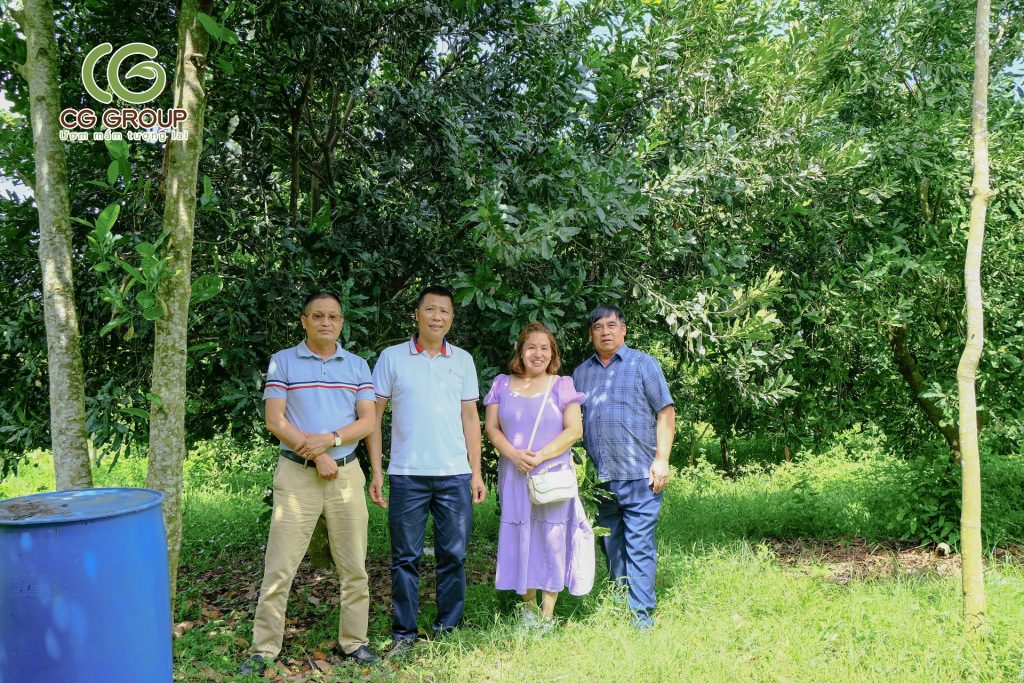 Phân bón hữu cơ bảo ngọc