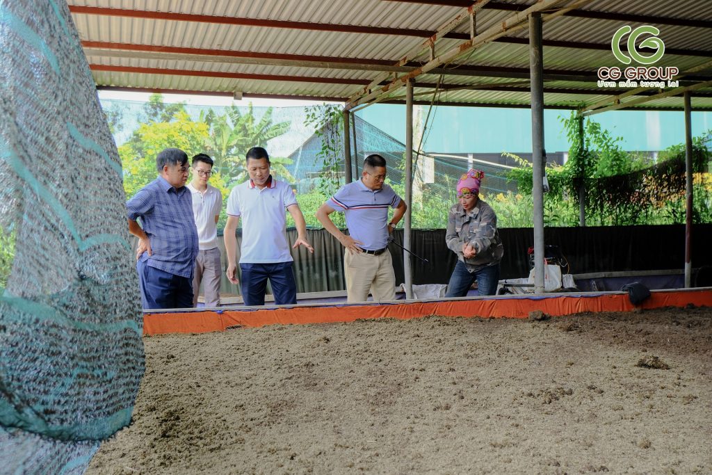 Phân bón hữu cơ bảo ngọc
